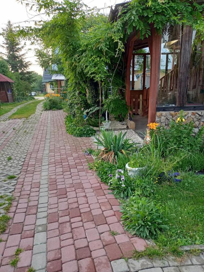Agroturystyka "Pod Bluszczem" Krasnobród Exterior foto